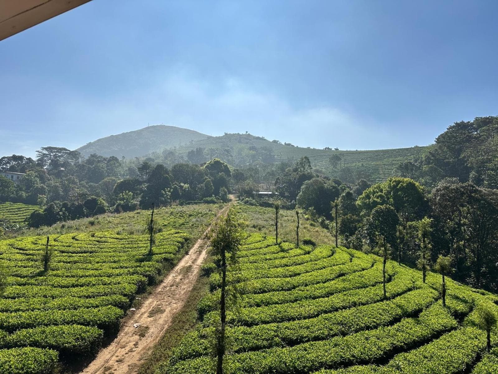 Eco Path Resort view 10