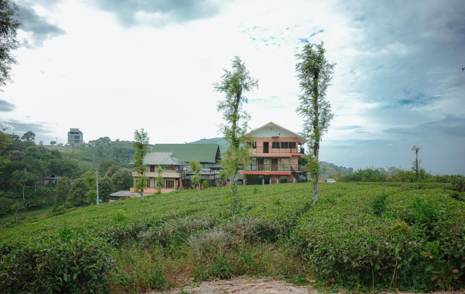 Eco Path Resort view 5