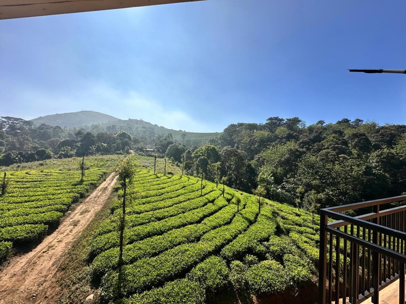 Eco Path Resort view 8