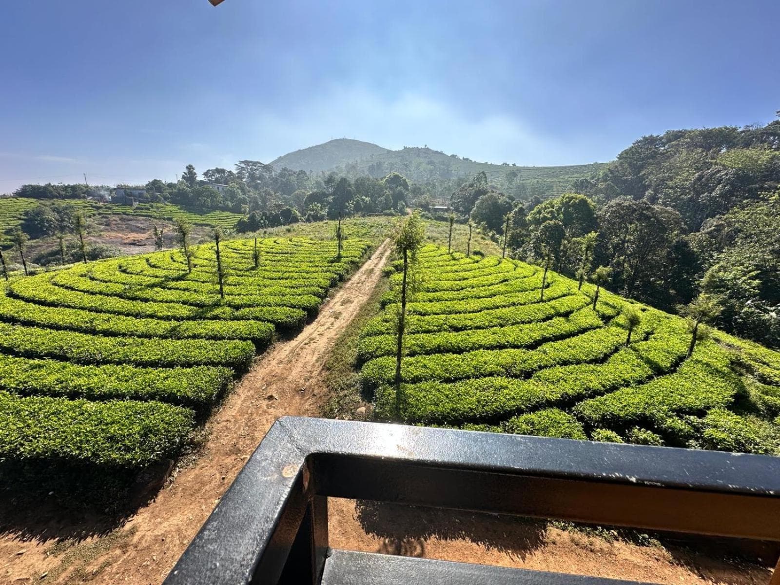 Eco Path Resort view 9